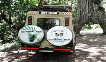 Discover the World-Class 6 Days Tanzania Family Safari – Serengeti, Ngorongoro and Tarangire with the Most Discounted Prices for 2025 & 2026