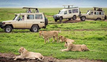 Découvrez les meilleurs safaris de 2 jours en Tanzanie depuis Zanzibar circuit