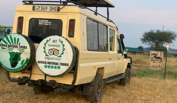 Die beste maßgeschneiderte 7 Tage Privatsafari durch Kenia und Tansania Authentische Reisebewertungen und erfahrene lokale Reiseleiter Rundreise