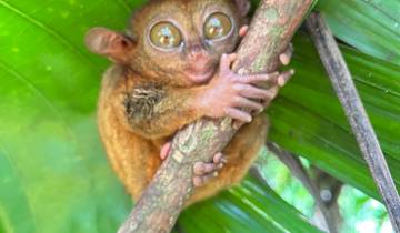 10 Days in Philippines, incl. Cebu and Boracay