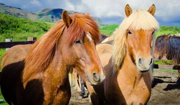 Westfjords of Iceland - 8 days