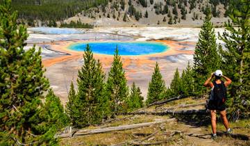 6 Day Yellowstone & Grand Teton Itinerary, incl. Jackson and Lamar Valley