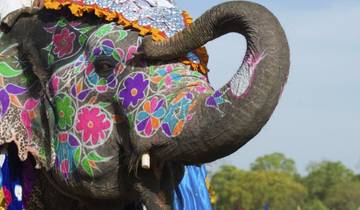 Bezauberndes farbenfrohes Rajasthan 11 Tage Rundreise