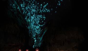 24 Day New Zealand Itinerary, incl. Auckland and Christchurch