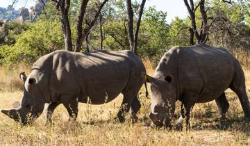 7 Days in South Africa & Zimbabwe, incl. Kruger and Victoria Falls