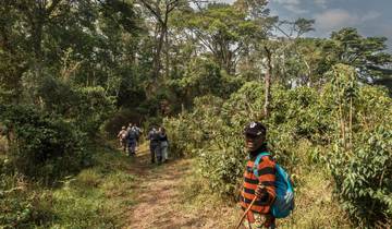 Viajeros en Solitario