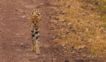 De las Cataratas de Vic a Kenia (22 destinations)