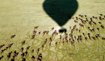 Gorillas, Game Parks & Beaches