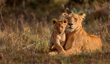 Circuits de luxe vers Kenya et Tanzanie