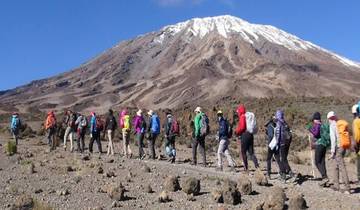 Beklimming van de Kilimanjaro Machame Route in 7 dagen