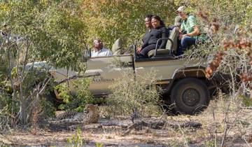 5-day Luxury Private Safari in Sabi Sands and Kruger, South Africa