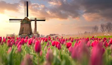 Tulpenkreuzfahrt - AMADEUS Queen (Amsterdam - Amsterdam) Rundreise