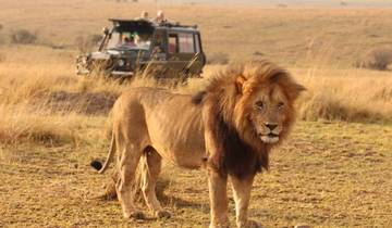 Tanzania 5 Dagen - Unieke Wildlife Ervaringen