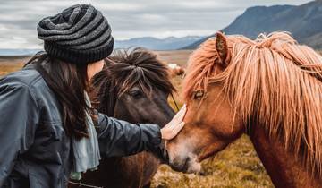 7 Days in Iceland, incl. Reykjavik and Akureyri