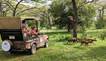 Zanzibar : 7 days Beach & Safari Holiday, Selous Game Reserve adventure