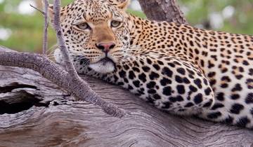 Zanzibar : 7 days Beach & Safari Holiday, Selous Game Reserve adventure