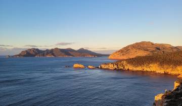 Découverte de la Tasmanie - Circuit confort de 6 jours en Tasmanie