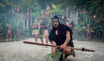 Funky Chicken - Hop-On Hop-Off bus pass