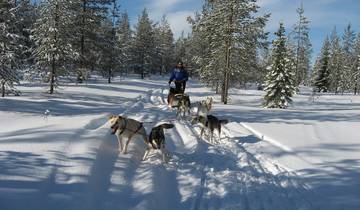 Tromso et les aurores boréales - 5 jours