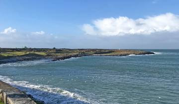 Countryside of the Emerald Isle (Dublin to Ennis) (2025)