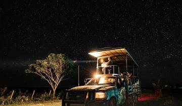 Expédition de 4 jours à la découverte de la faune du Pantanal, au Brésil