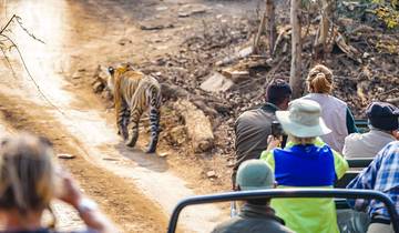 6 Days Customized Private Bangladesh Sundarbans Safari Tour Tour