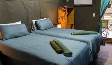 3-Day Kruger National Park Big 5 Glamping Safari