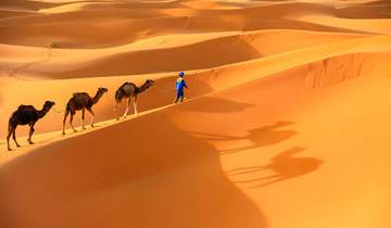 Au départ de Marrakech : 4 jours dans le désert de Merzouga et camp de luxe privé