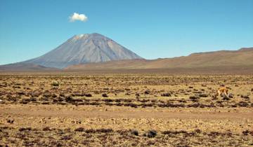 Vom Andenhochland an den Amazonas