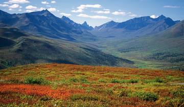 Sur la route de l'Alaska