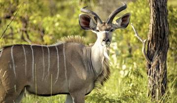 Best of South Africa (Autoreise) Johannesburg - Kapstadt