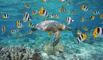 10 Days in French Polynesia, incl. Tahiti and Bora Bora
