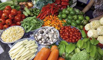 Au cœur de la nature circuit