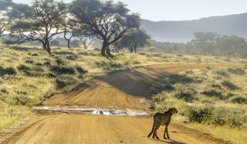 Namibia zum Verweilen Nordwarts
