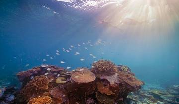 Australiens Glanzpunkte kompakt Rundreise
