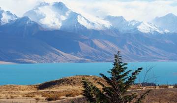 Kleingruppen-Safari (von Auckland bis Christchurch)