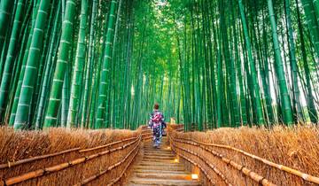 Hohepunkte Japans (nur Landprogramm)