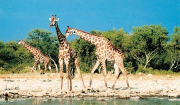 Lebens(t)raum Namibia