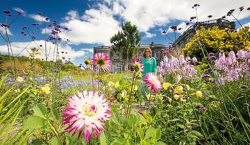 Le rêve irlandais en matière de jardin