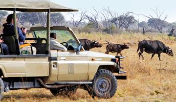 Der Herzschlag Afrikas (8 Nachte ab Kasane)