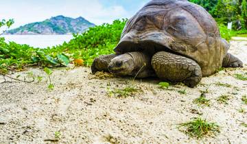Island Hopping Seychellen (Hotels: Mittelklasse, Standardtransfers, 8 Nachte)