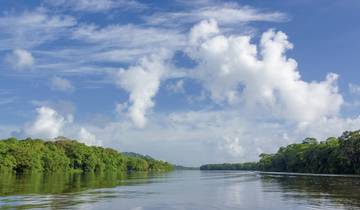 Costa Rica - Auf der Suche nach den Faultieren