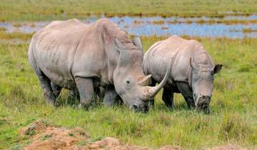 Koninkrijk der dieren-rondreis