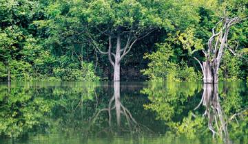 Samba, Gold Rush & Amazonas Tour