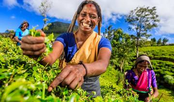 Das Beste von Sri Lanka in 10 Tagen – Private Tour