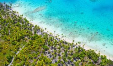 by Cargo Ship to the Marquesas in the South Seas
