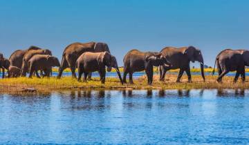 Natur & Tierwelt