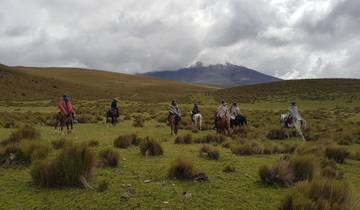 Horseback Ride Through Cotopaxi National Park to Limpiopungo Lagoon - Small Group