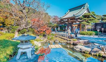 Hohepunkte Japans (inkl. Flug)