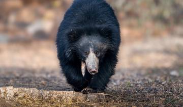 Circuito Los Cinco Grandes de Sri Lanka